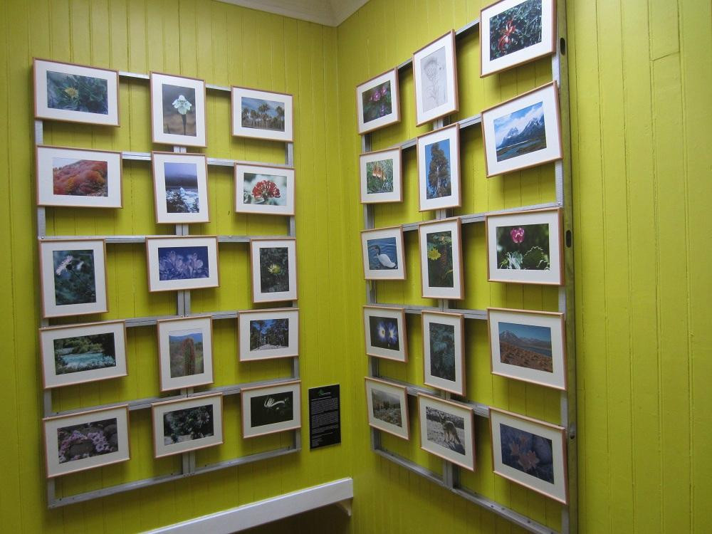 Museo de la Exploracion Rudolph Amandus Philippi-瓦尔迪维亚必去景点