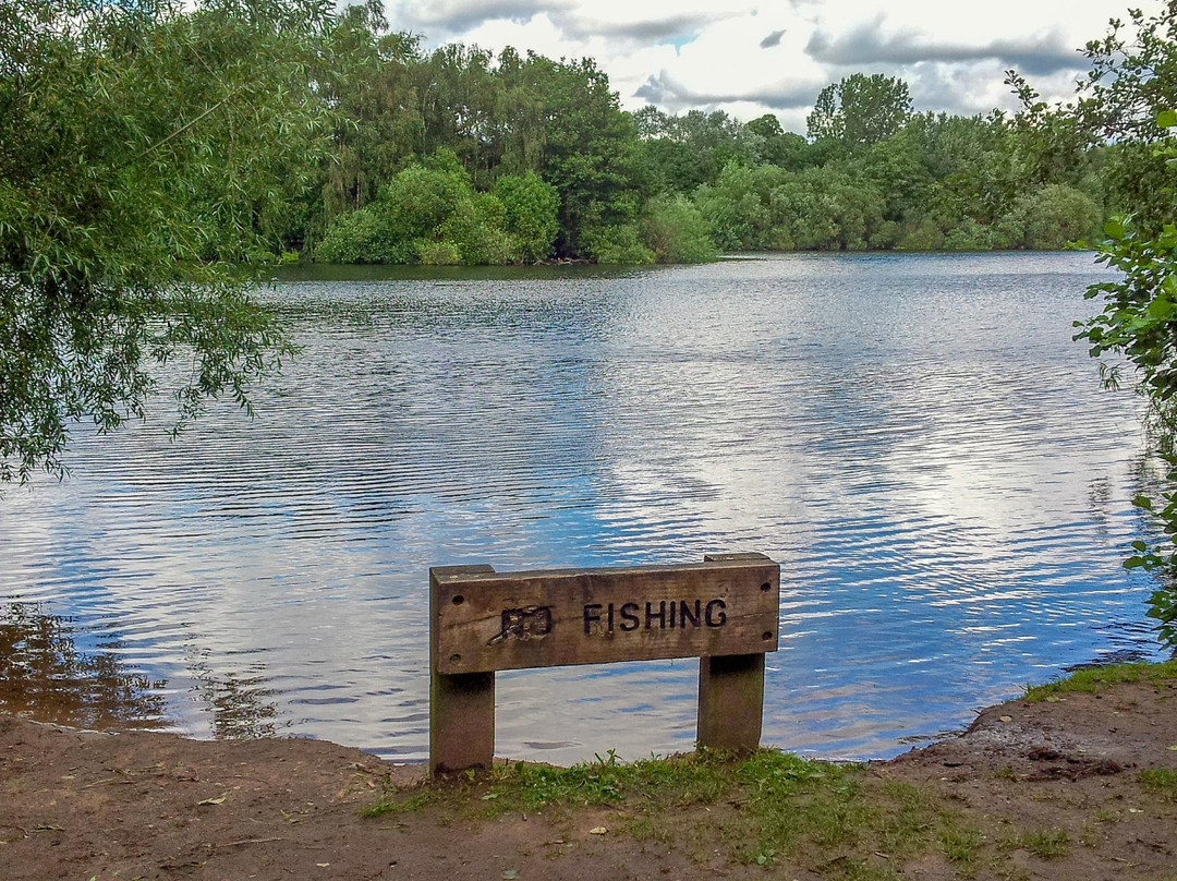 Chorlton Water Park-曼彻斯特必去景点