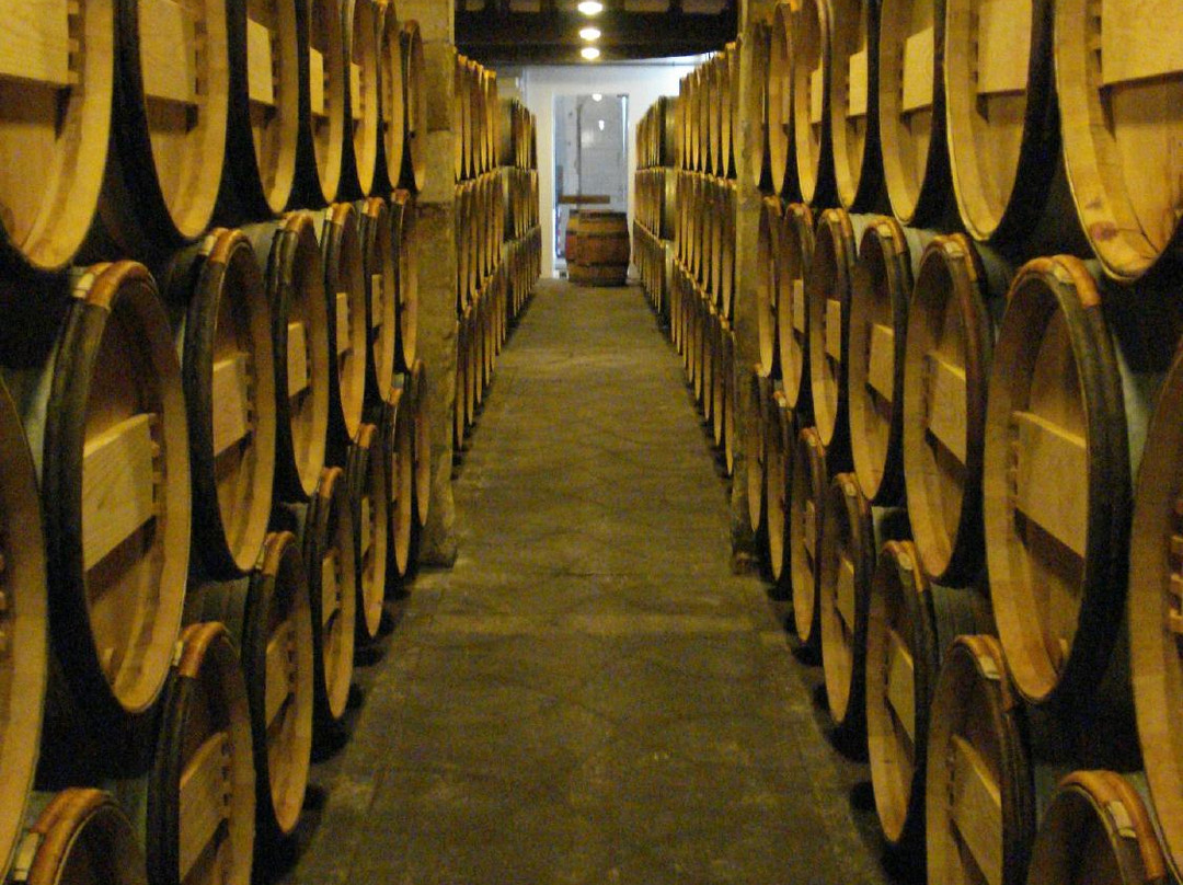 Château Figeac-圣埃美隆必去景点