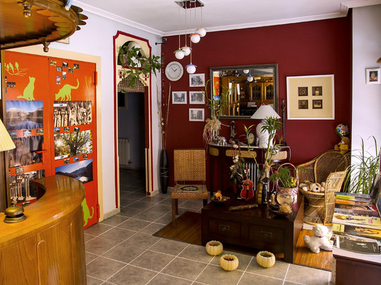 Hostal Algodon主图