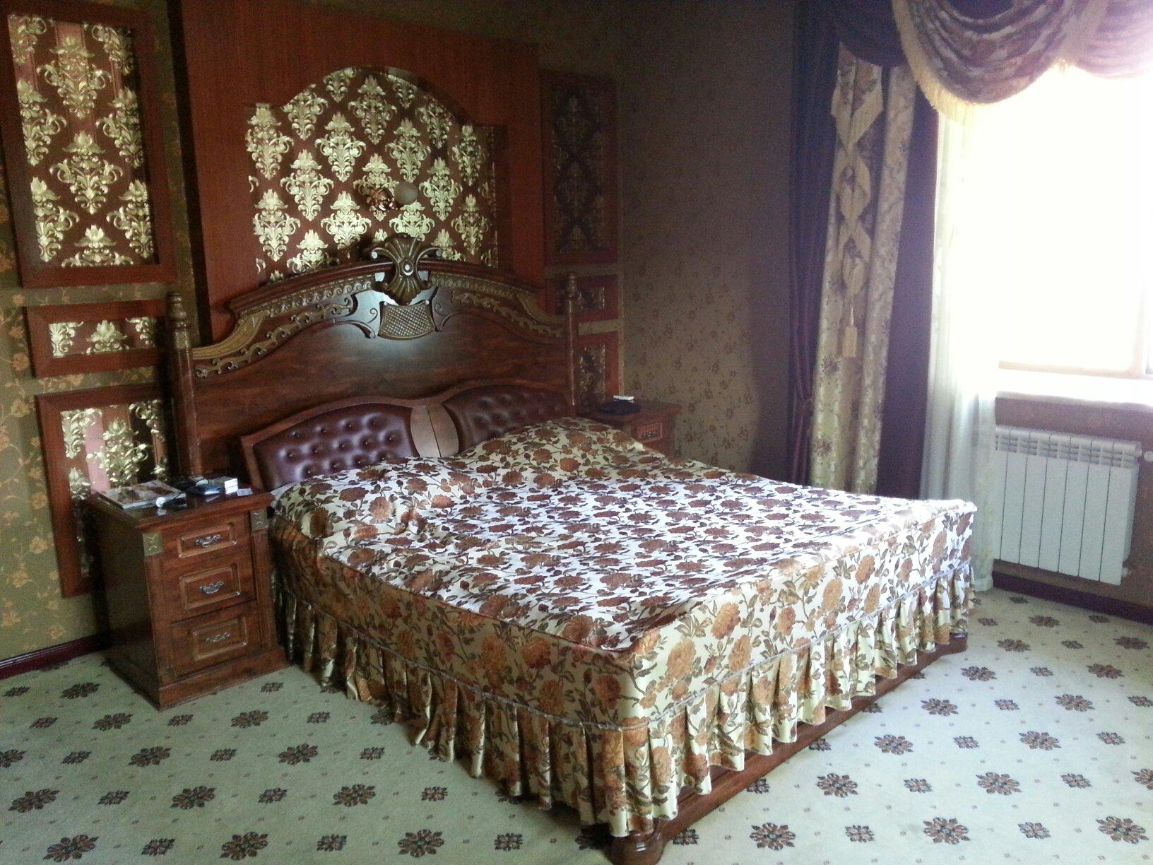 Altyn Adam Hotel-客卧