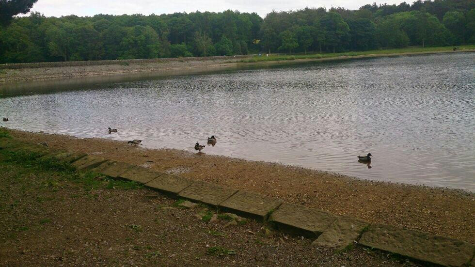 Swinsty Reservoir景点图片