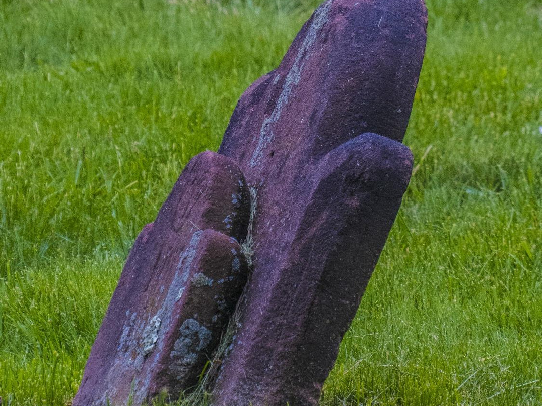 East Norwalk Historical Cemetery-诺沃克必去景点