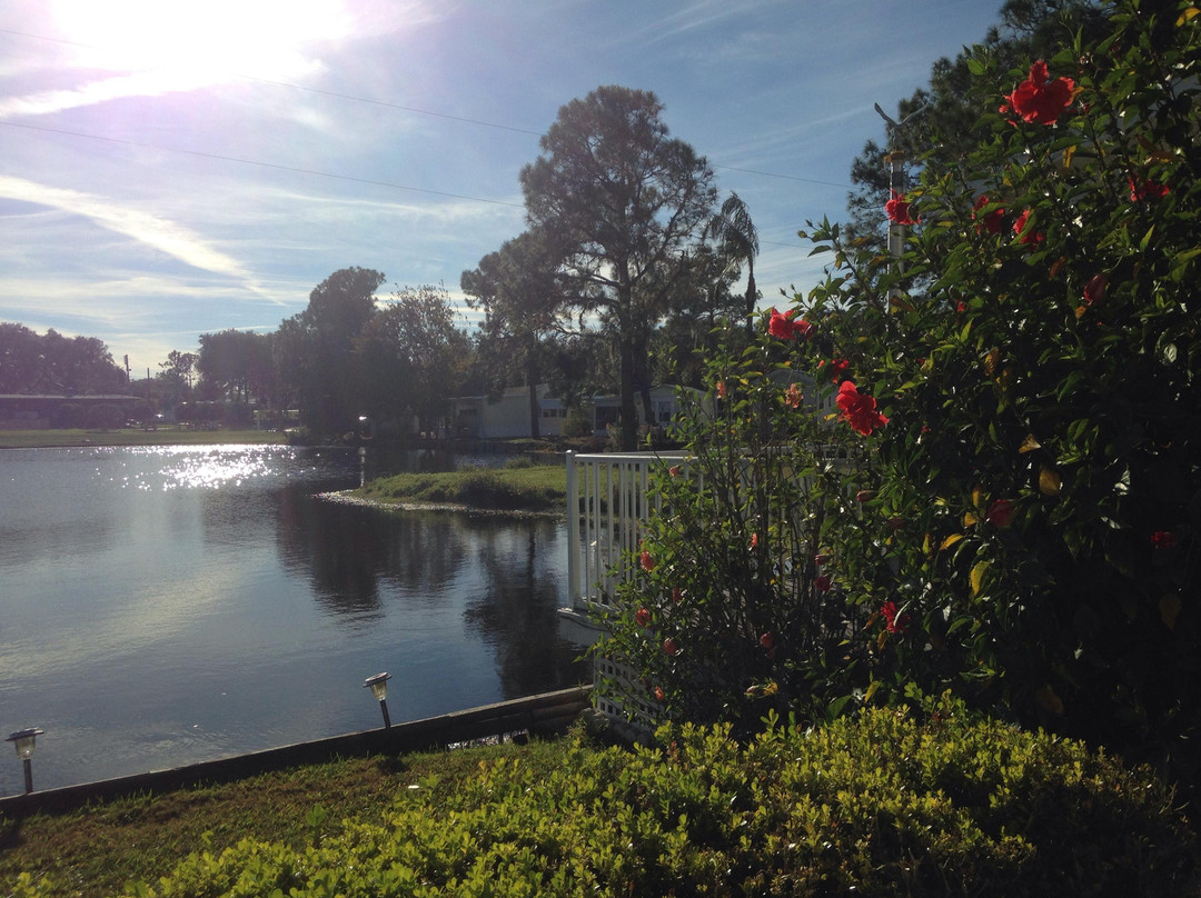 Bee's RV Resort