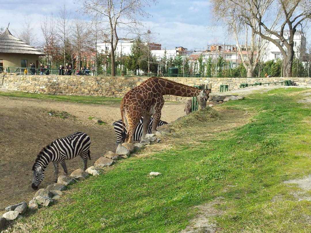 Bursa Zoo景点图片