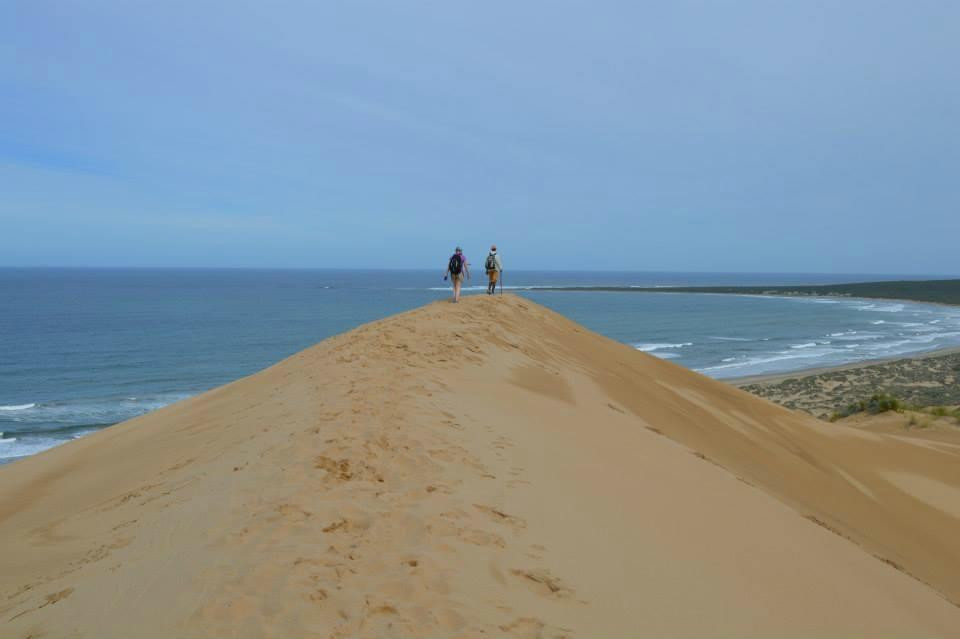 Oystercatcher Trail-莫塞尔贝必去景点