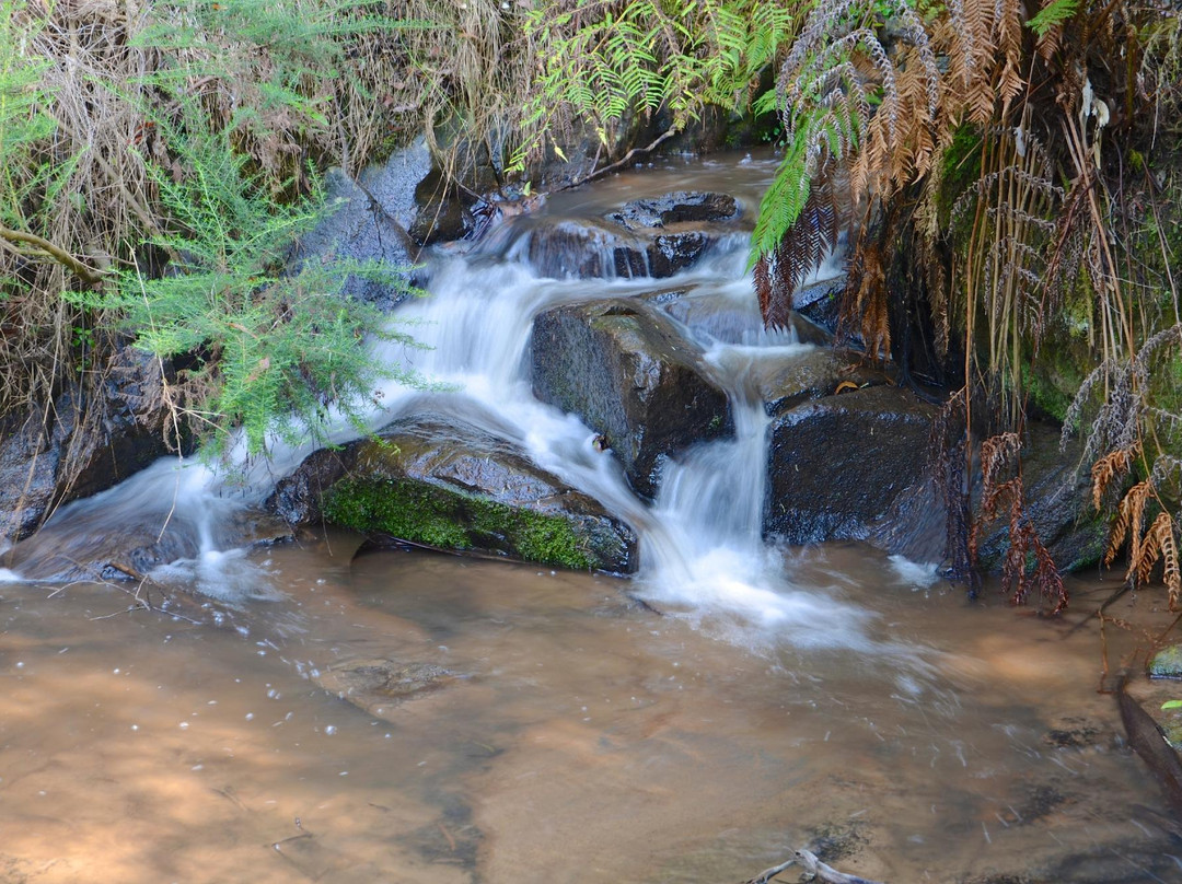 丹顿农旅游攻略图片