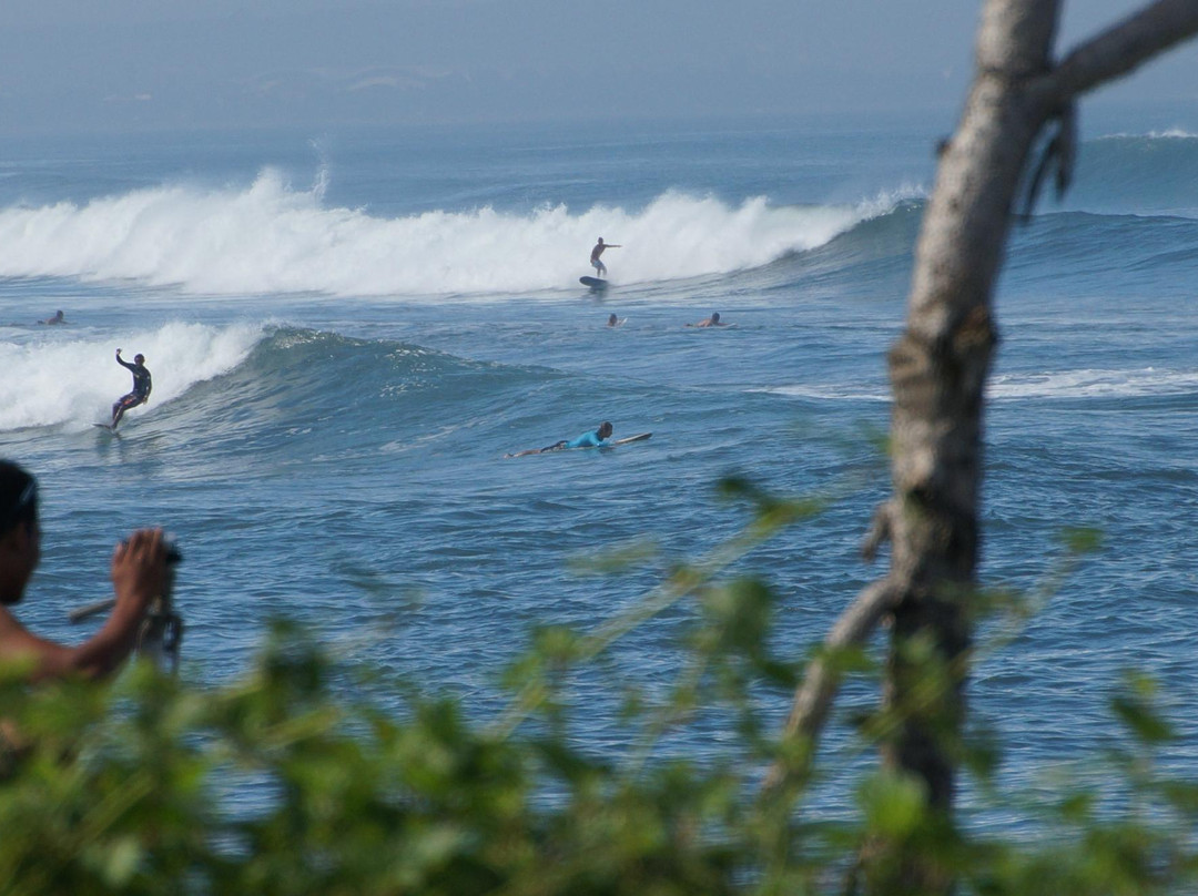 Baruna Surf Culture-长谷必去景点