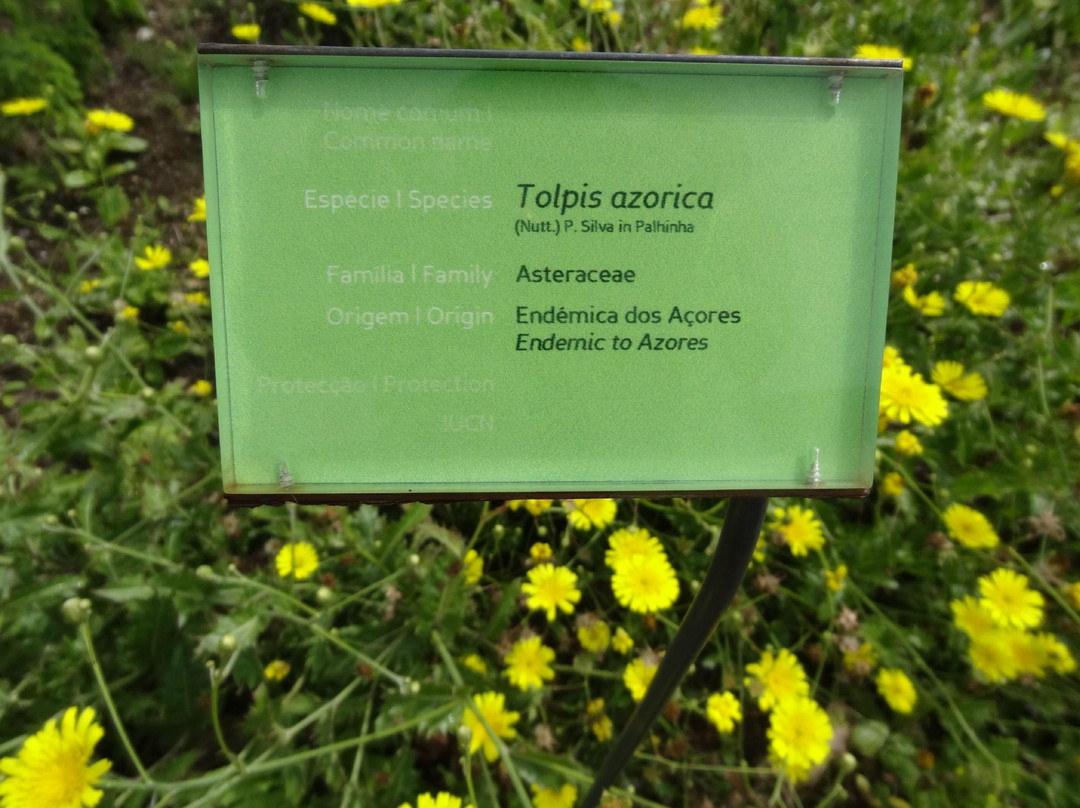 Faial Botanic Garden-奥尔塔必去景点