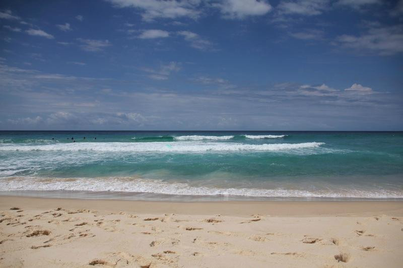 Waves Surf School景点图片