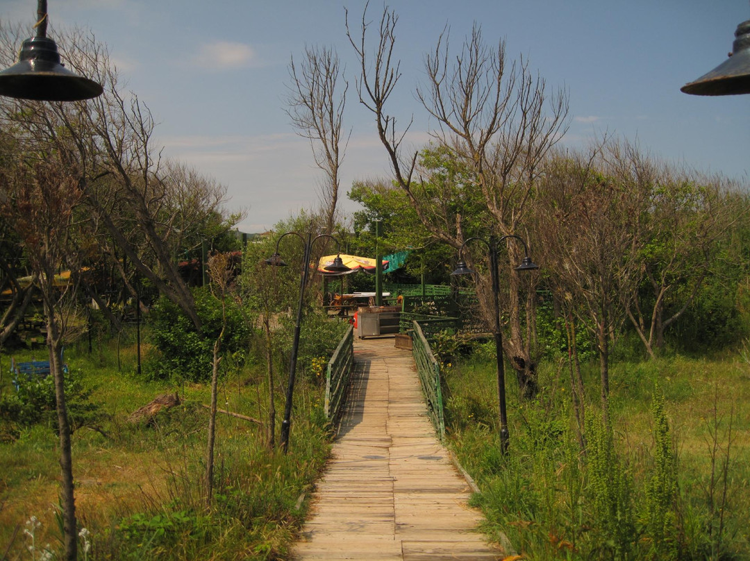 Suma Beach-伊斯坦布尔必去景点