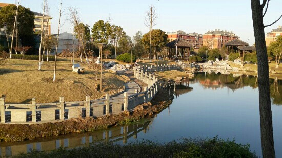 四明山国家森林公园-余姚市必去景点