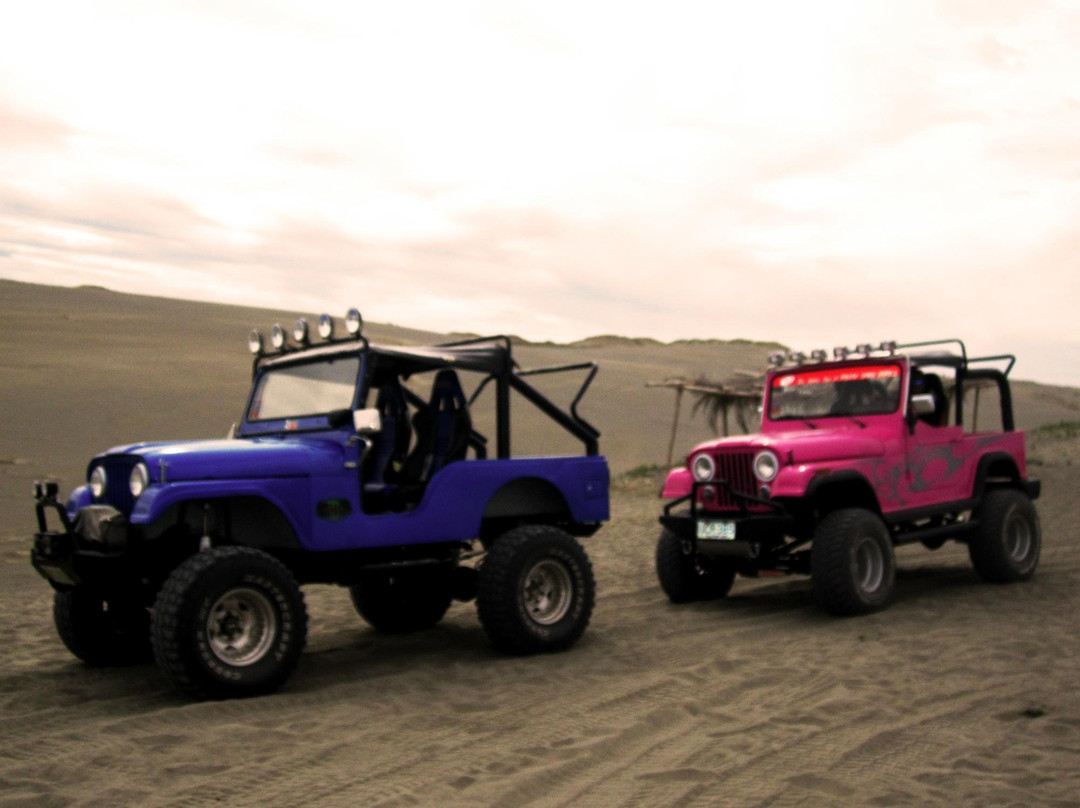 Paoay Sand Dunes Adventures景点图片