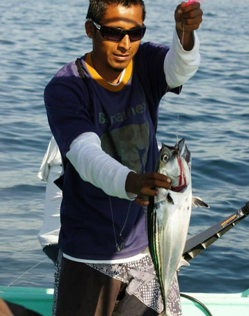 Mario Cobos - Day Tours-瓦图尔科必去景点