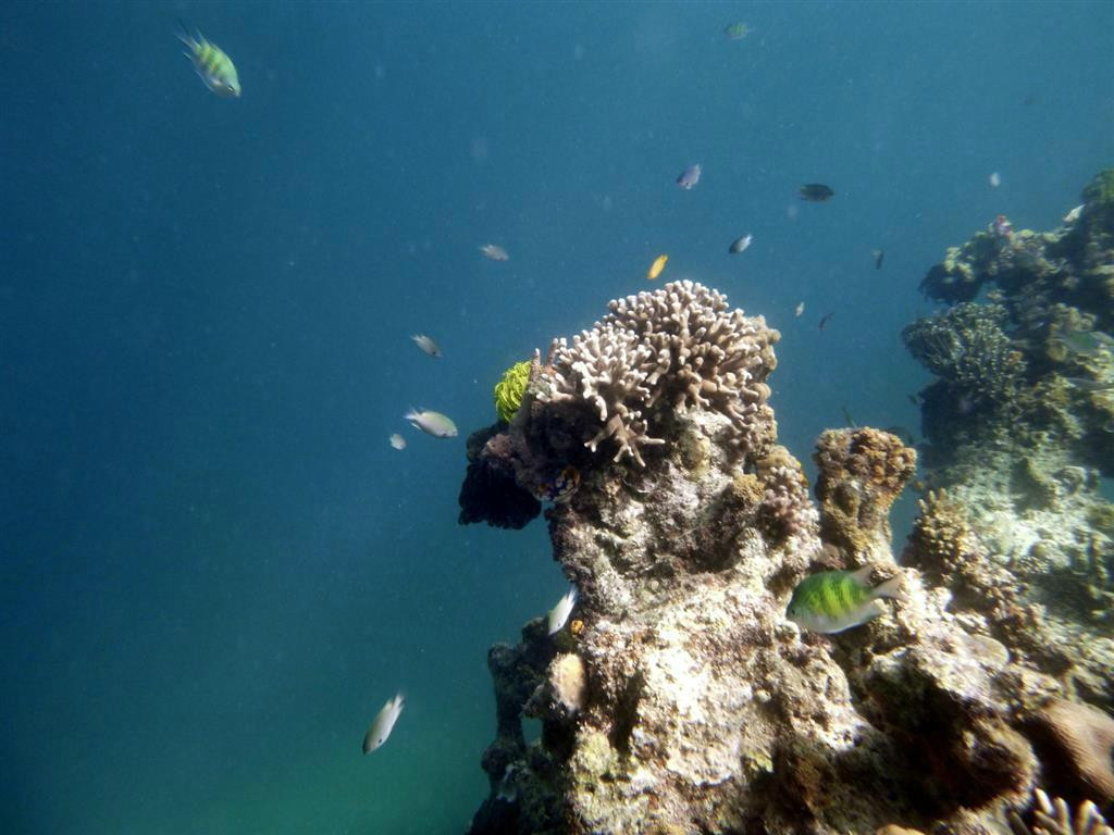 Payong-Payong Beach-爱妮岛必去景点