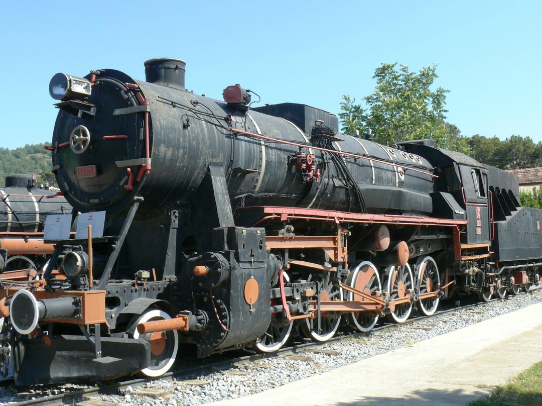 Camlik Locomotive Museum景点图片