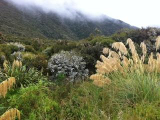 Gentle Annie Highway-Hawke's Bay Region必去景点