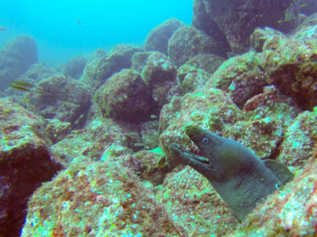 Panama Dive Center景点图片