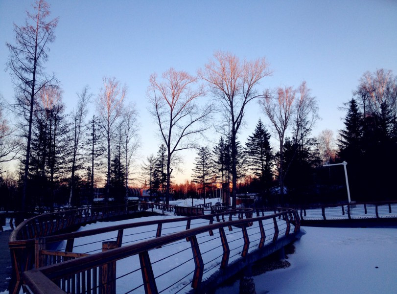 镜泊湖地下森林-宁安市必去景点