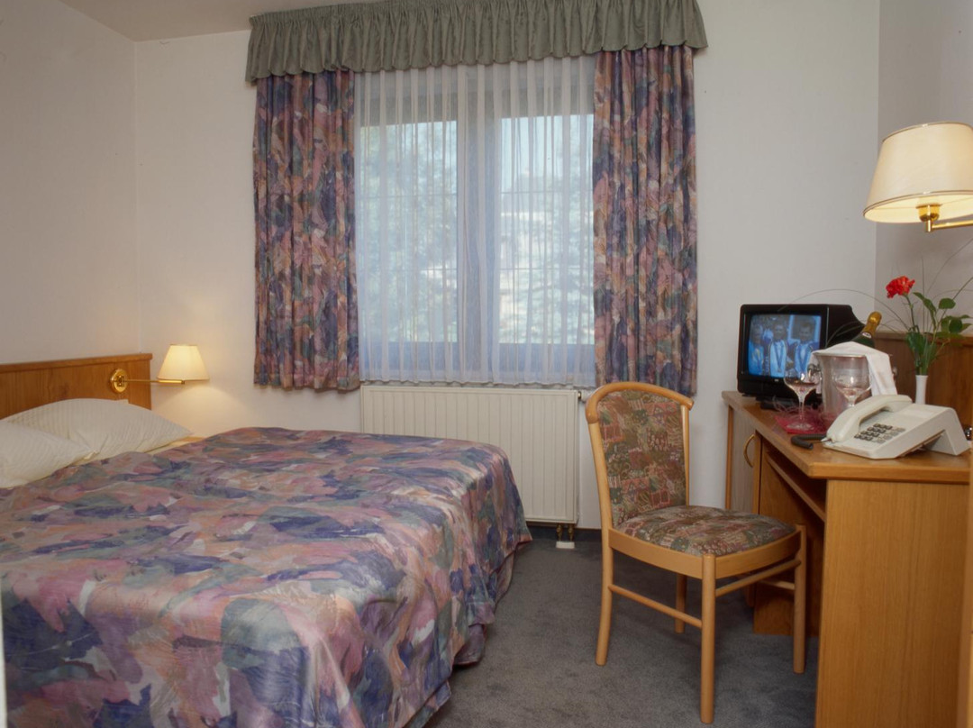 Hotel Erzgebirge主图