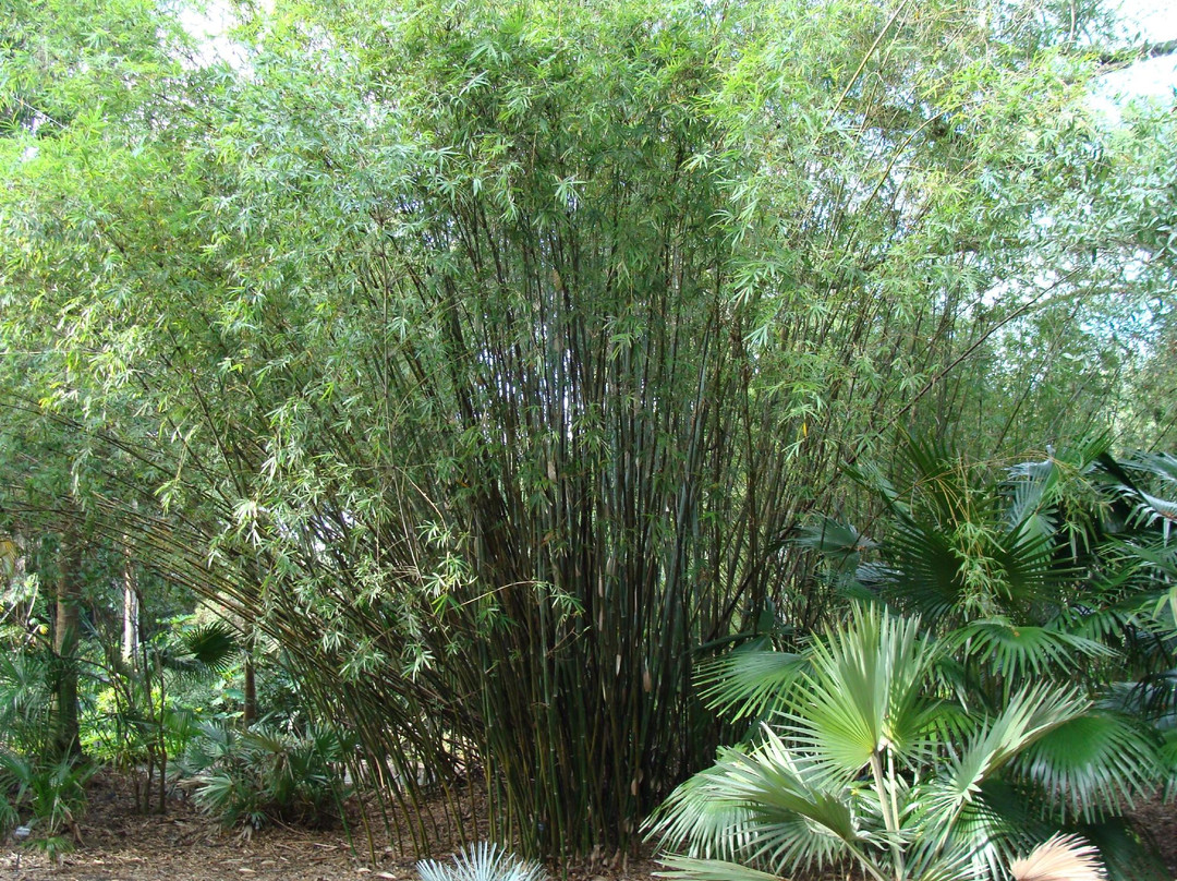 哈里花园-奥兰多必去景点