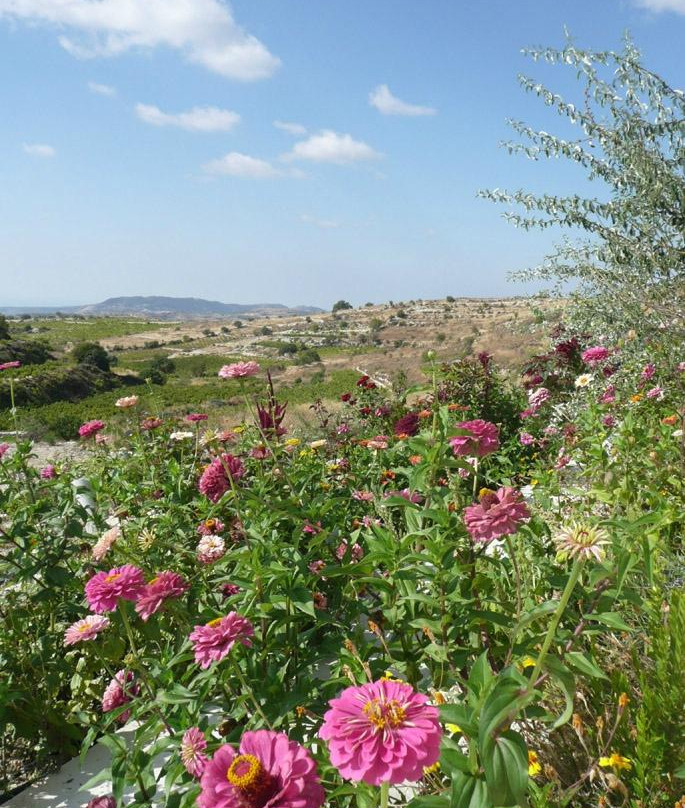 30filla Guesthouse主图