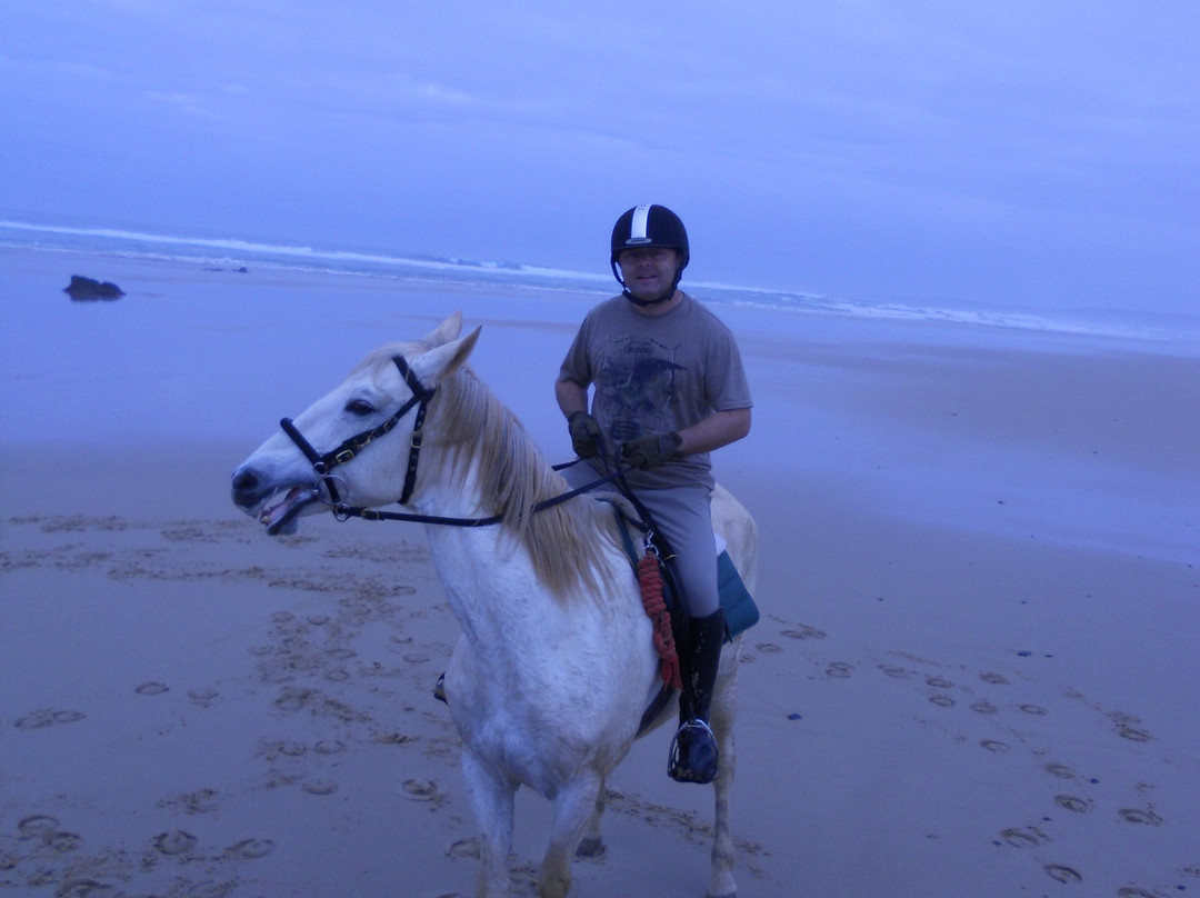 QPA Horse Riding Centre景点图片