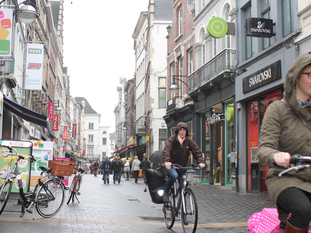 Veldstraat en Bagattenstraat景点图片