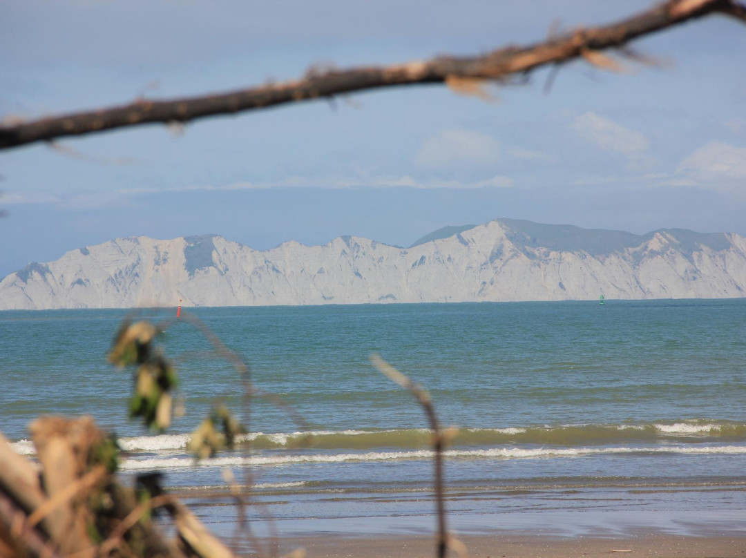 Waikanae Beach Motel主图