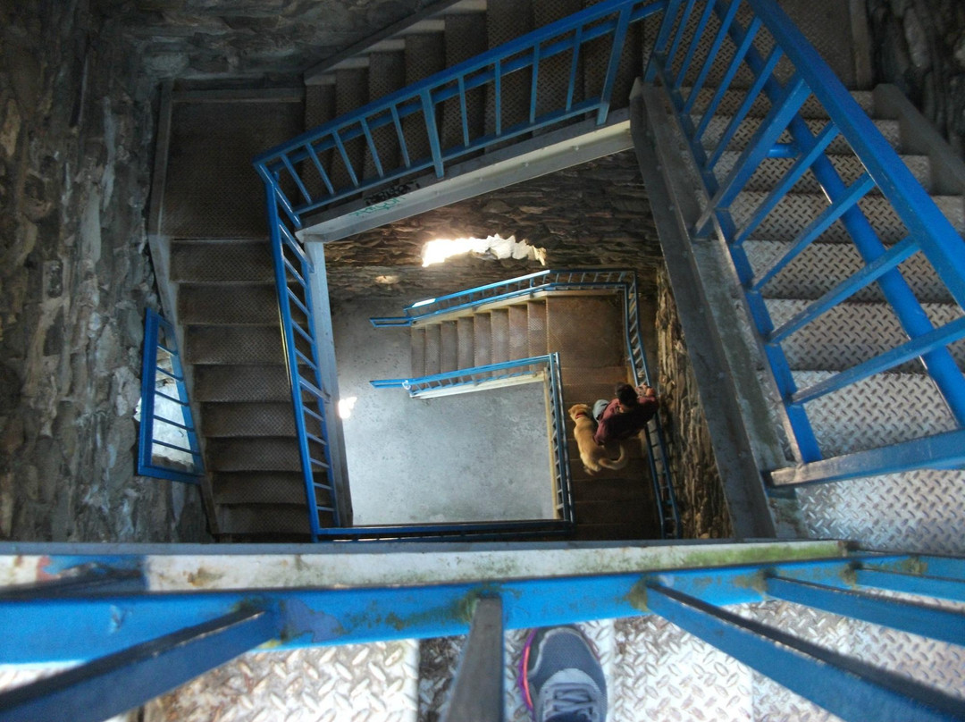 Hubbard Park-蒙彼利埃必去景点