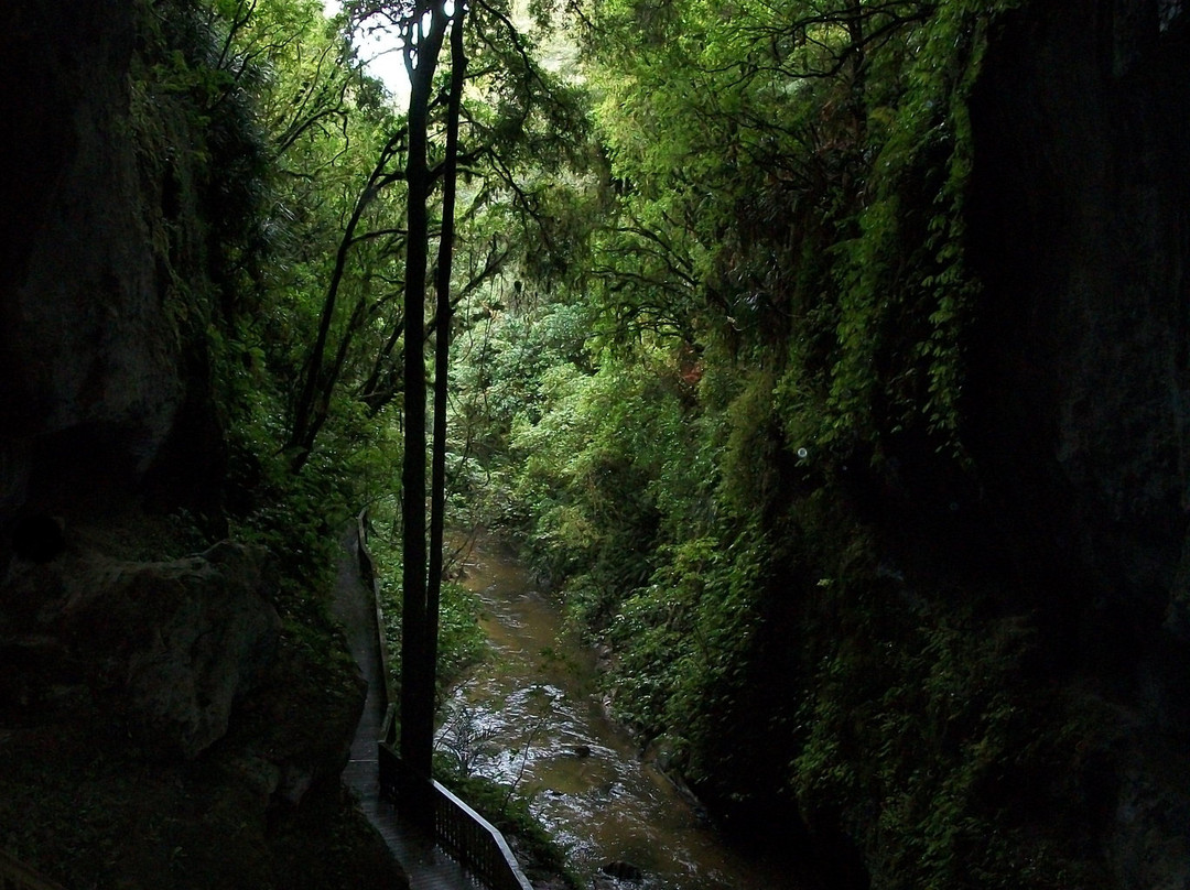 Mangapohue Natural Bridge Walk-怀托摩洞穴必去景点