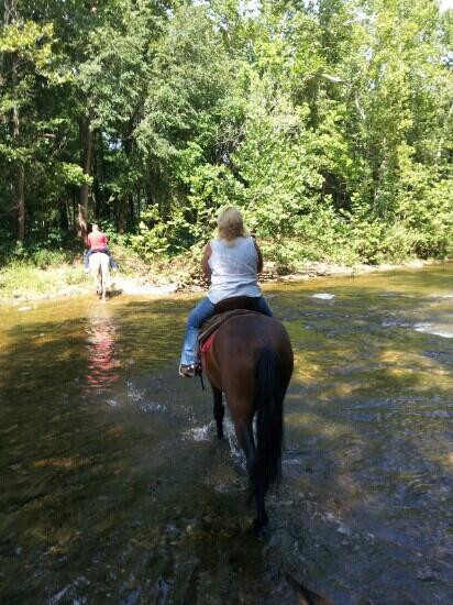 Bear creek stables-Walnut Shade必去景点