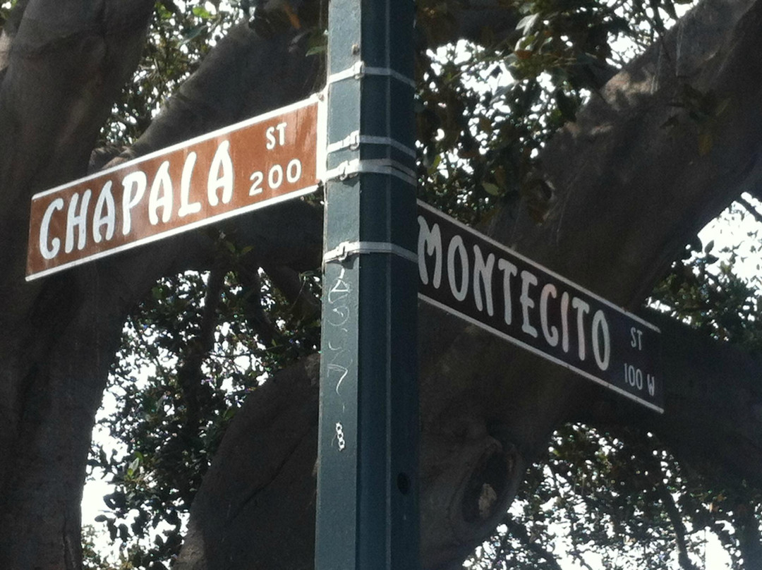 莫顿湾无花果树-圣巴巴拉必去景点