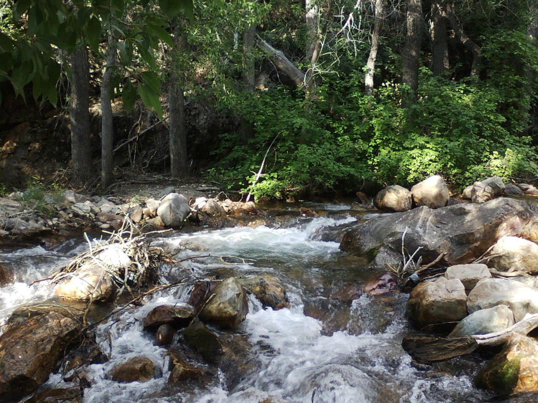 大三叶杨峡谷-盐湖城必去景点
