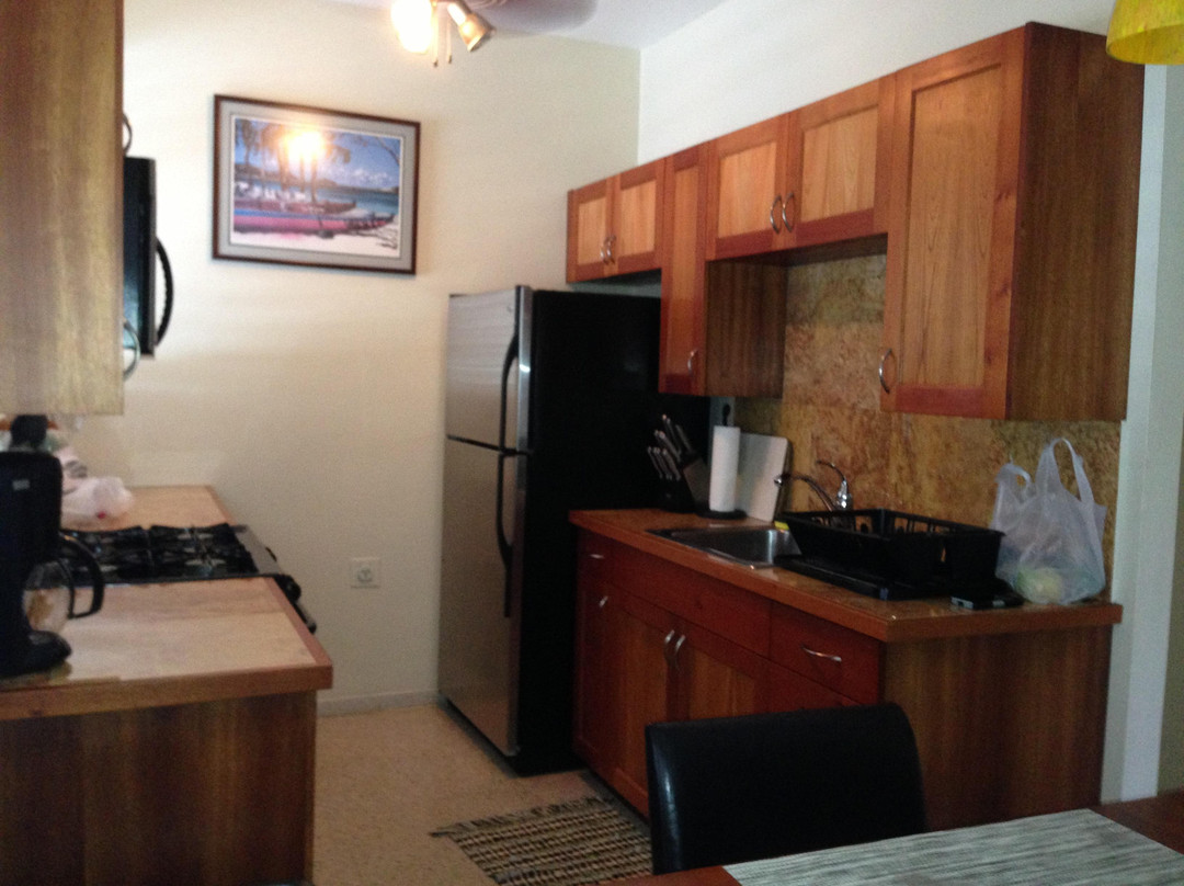 Playa Oeste Gallery-吕康必去景点