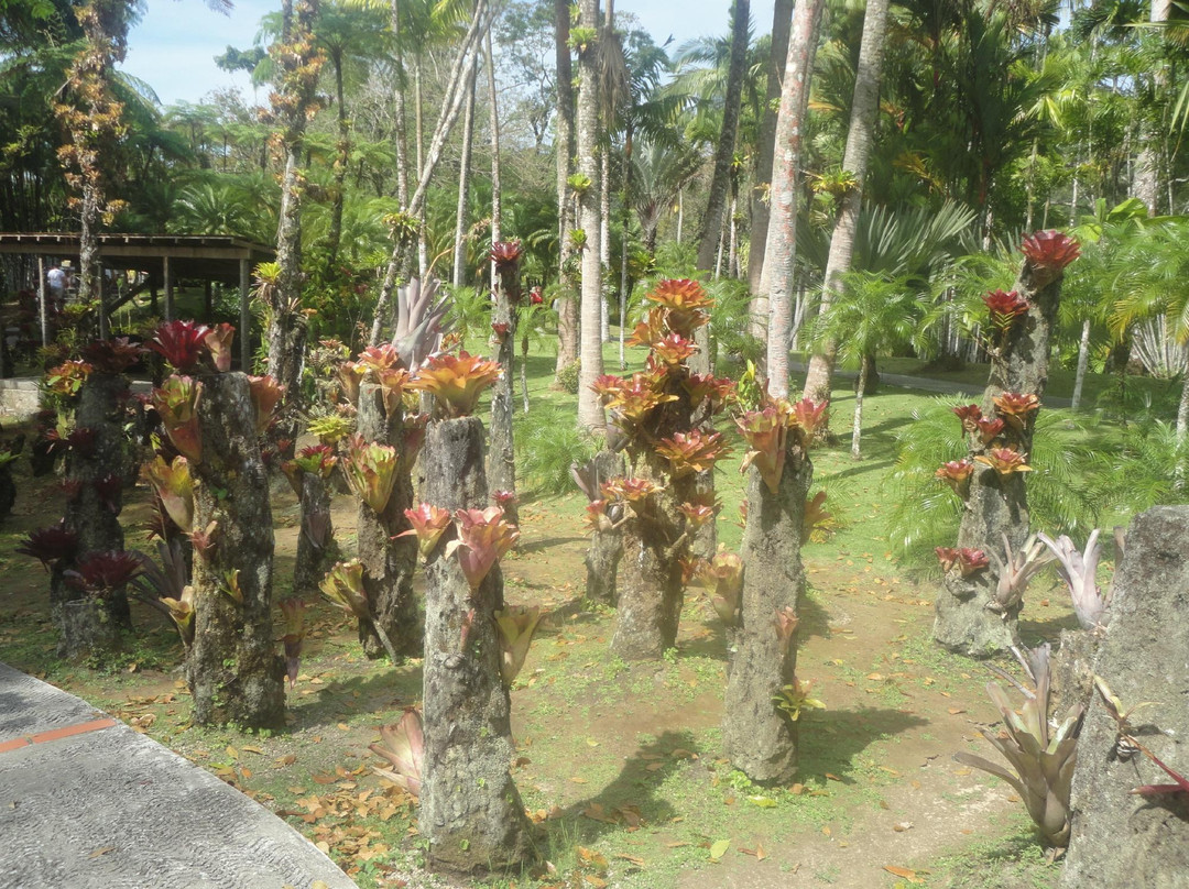 Jardin de Balata-法兰西堡必去景点