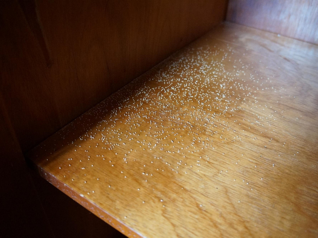 Hotel Aquamarina主图