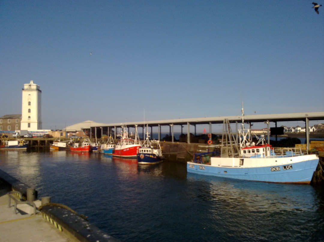 North Shields旅游景点-The Fish Quay Fair