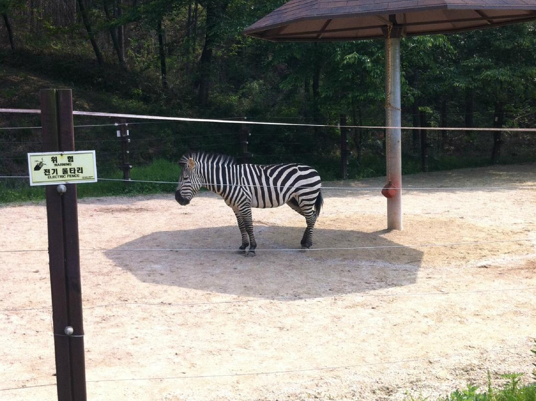 Gwangju Family Land-光州必去景点