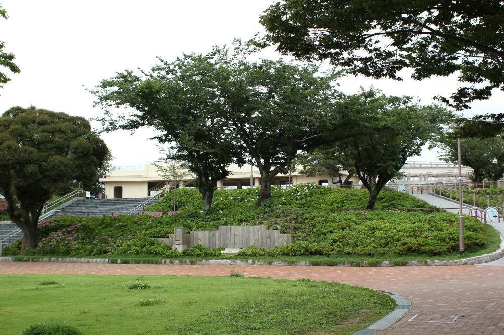 Takatoyama Park景点图片