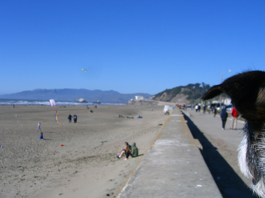 海滩度假屋-旧金山必去景点