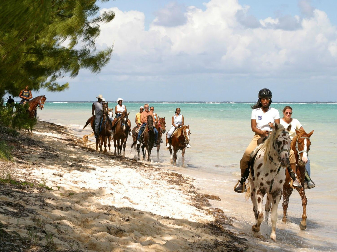 Discount Excursions-乔治城必去景点