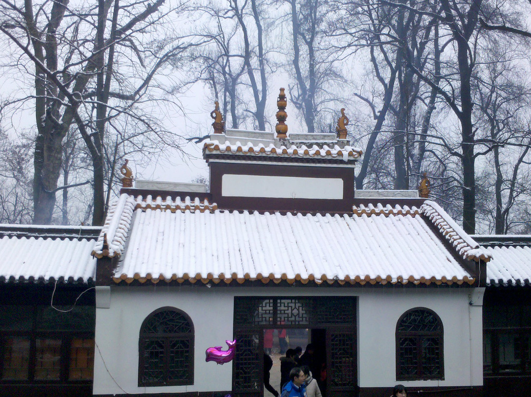 岳麓山景点图片