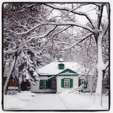 Chekhov House Museum景点图片