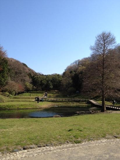 Shinbayashi Park-藤泽市必去景点