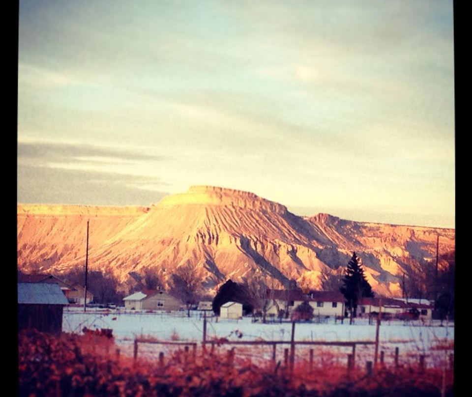 Hermosa Vineyards-Palisade必去景点