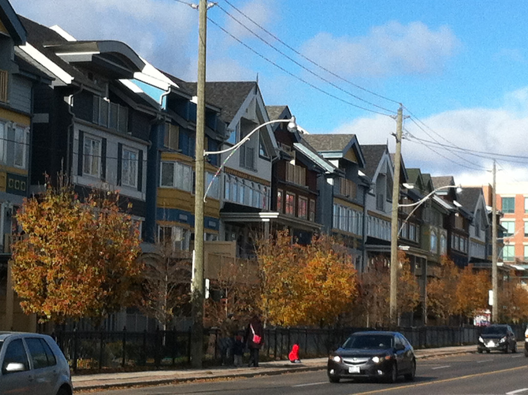 沙滩区-多伦多必去景点