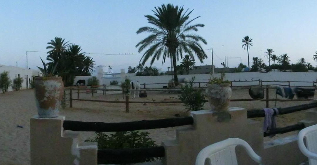 Mezraya Ranch-杰尔巴岛必去景点