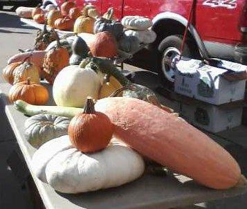 Midland Area Farmers Market景点图片