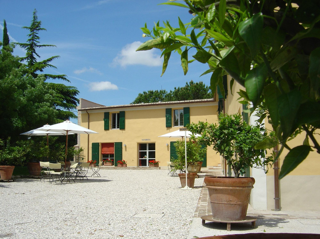 Locanda della Luna, Azienda Agricola Turchi